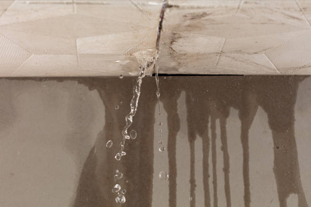 Professional Structural Drying technician working in Trenton, UT